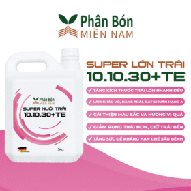 SUPER LỚN TRÁI 10.10.30+TE (5KG)