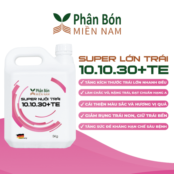 SUPER LỚN TRÁI 10.10.30+TE (5KG)