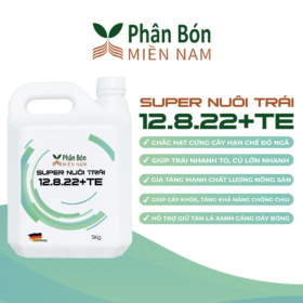 SUPER LỚN TRÁI 12.8.22+TE (5KG)