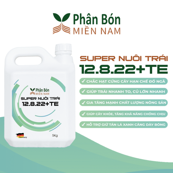 SUPER LỚN TRÁI 12.8.22+TE (5KG)