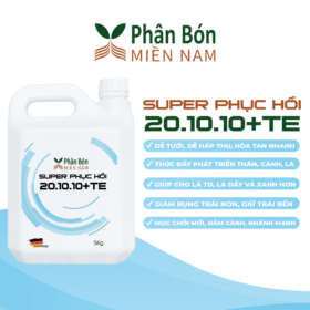 SUPER PHỤC HỒI 20.10.10+TE (5KG)