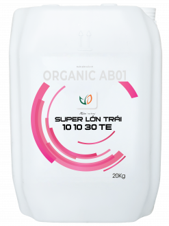 SUPER LỚN TRÁI 10.10.30+TE (20KG)
