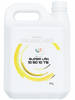 SUPER LÂN 10.50.10+TE (5KG)