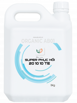 SUPER PHỤC HỒI 20.10.10+TE (5KG)