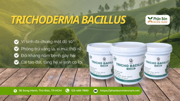 TRICHO BACILLUS