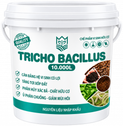 TRICHO BACILLUS (10KG)