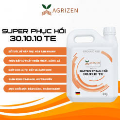 SUPER PHỤC HỒI 30.10.10+TE (5KG)