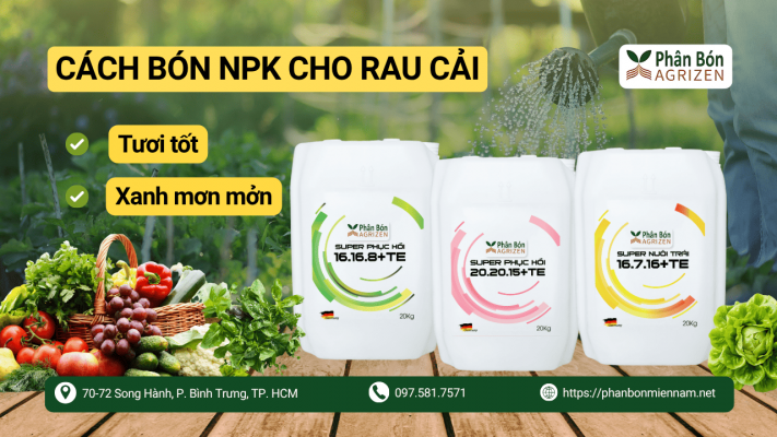 Agrizen Mách Bà Con Cách Bón NPK Cho Rau Cải Tươi Tốt, Xanh Rờn