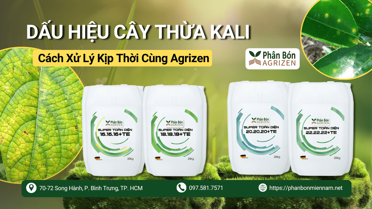 Dấu Hiệu Cây Thừa Kali Và Cách Xử Lý Kịp Thời Cùng Agrizen