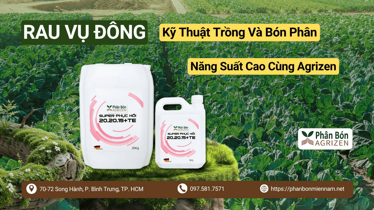Kỹ Thuật Trồng Và Bón Phân Rau Vụ Đông Năng Suất Cao Cùng Agrizen
