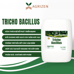 TRICHO BACILLUS (CAN 10 LÍT NHẬP KHẨU) - SIÊU DIỆT NẤM, CẢI TẠO ĐẤT, BUNG RỄ MẠNH - AGRIZEN