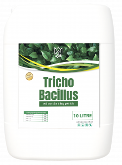 TRICHO BACILLUS (CAN 10 LÍT NHẬP KHẨU) - SIÊU DIỆT NẤM, CẢI TẠO ĐẤT, BUNG RỄ MẠNH - AGRIZEN