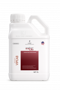 LUKE CAL-BO CA+ NHẬP KHẨU MỸ (5L)